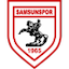 teamLogo